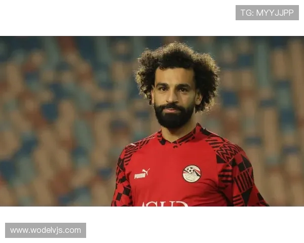 北非足球明星阵容揭秘：萨拉赫阿什拉夫马尔穆什共筑豪华阵容